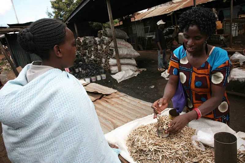 Buried in Red Tape: The Regulatory Burden That Quietly Punishes Women Who Dare to Build